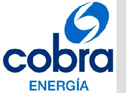 GRUPO COBRA